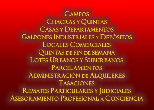 bienvenida